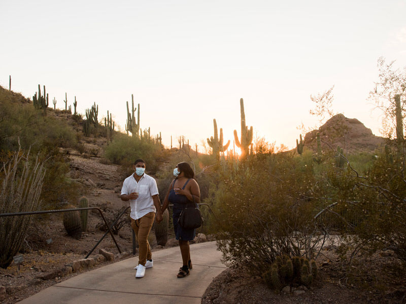 Sonoran Sippin’